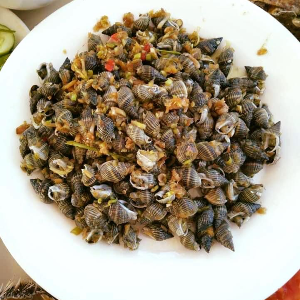Ốc hương đá giá sỉ